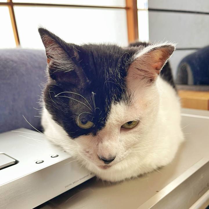 Cd0a5464 2b9b 4146 96a6 18ff6b679e83 1752286960551