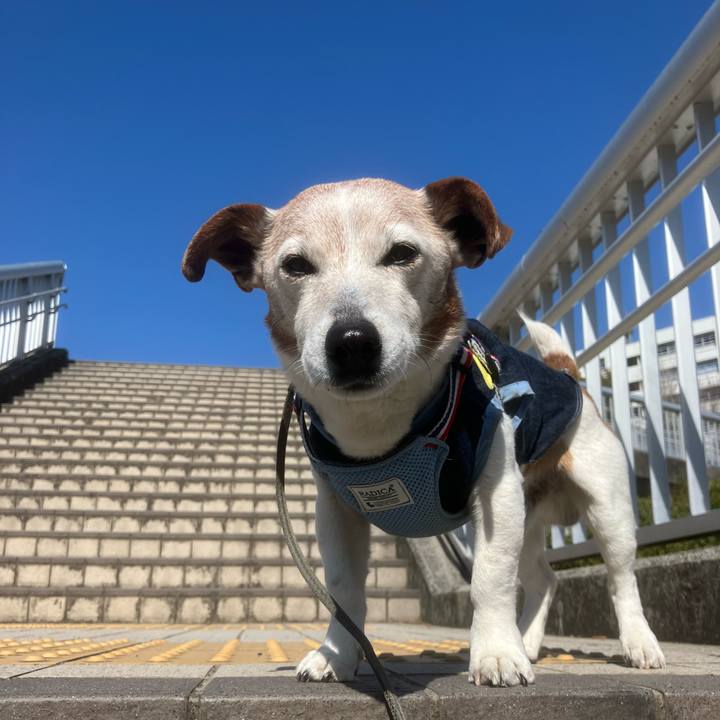 Cd0ab52c f820 4f98 927b 96638d24704c 1773281194540