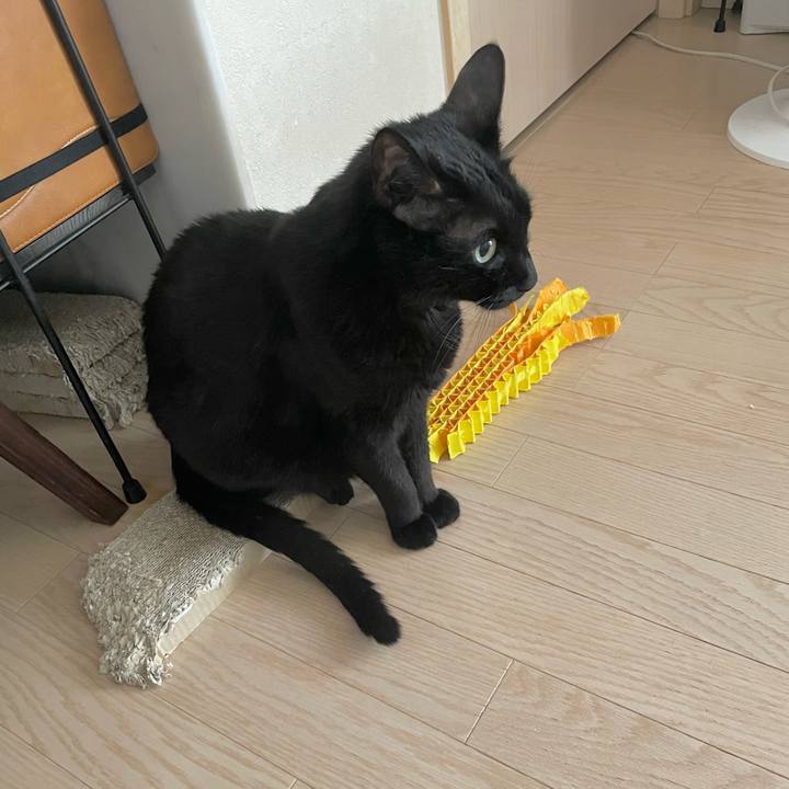 Cd0ae22b cf4a 4487 bc55 643328c021eb 1718278881374