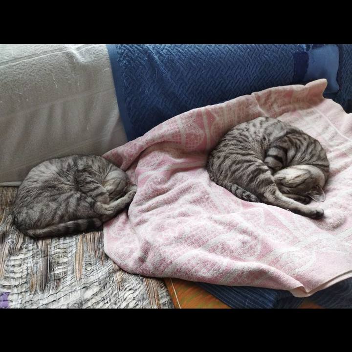 Cd0b304e 3e5f 4406 a613 01769e5c22e5 1710577963140