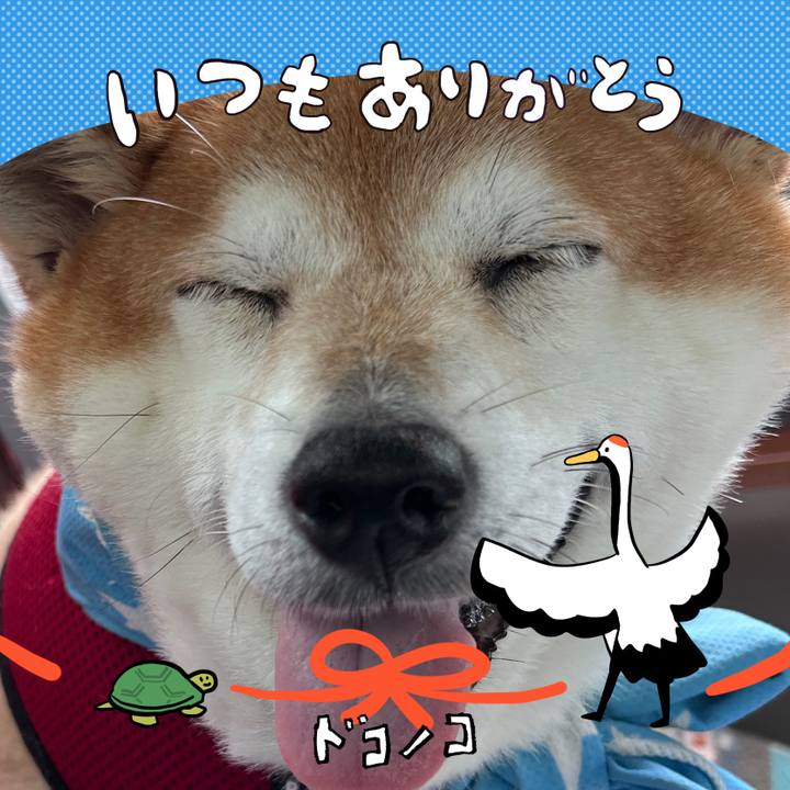 Cd0b4fde 03bb 4314 a9ad a33854528fda 1726920258315