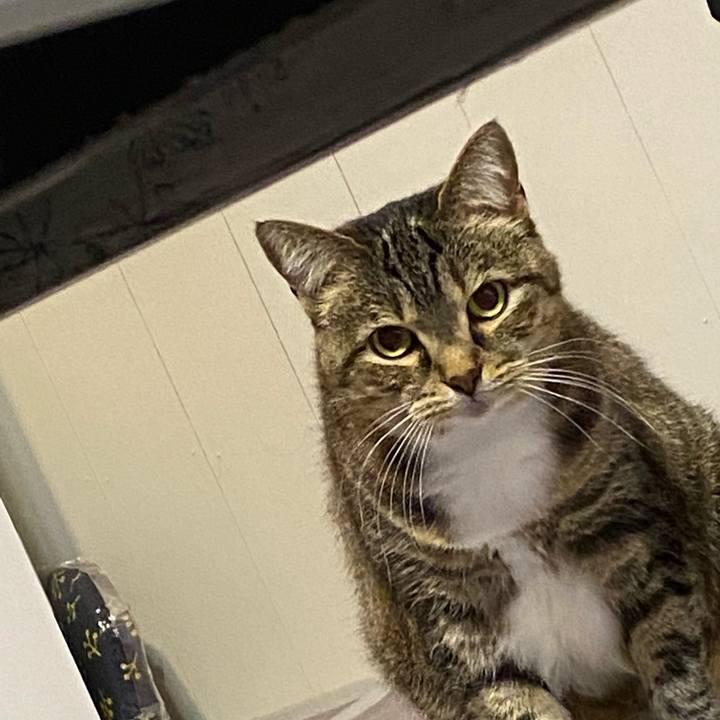 Cd0b552b fc1c 4163 bf13 773add813c0a 1638975334876