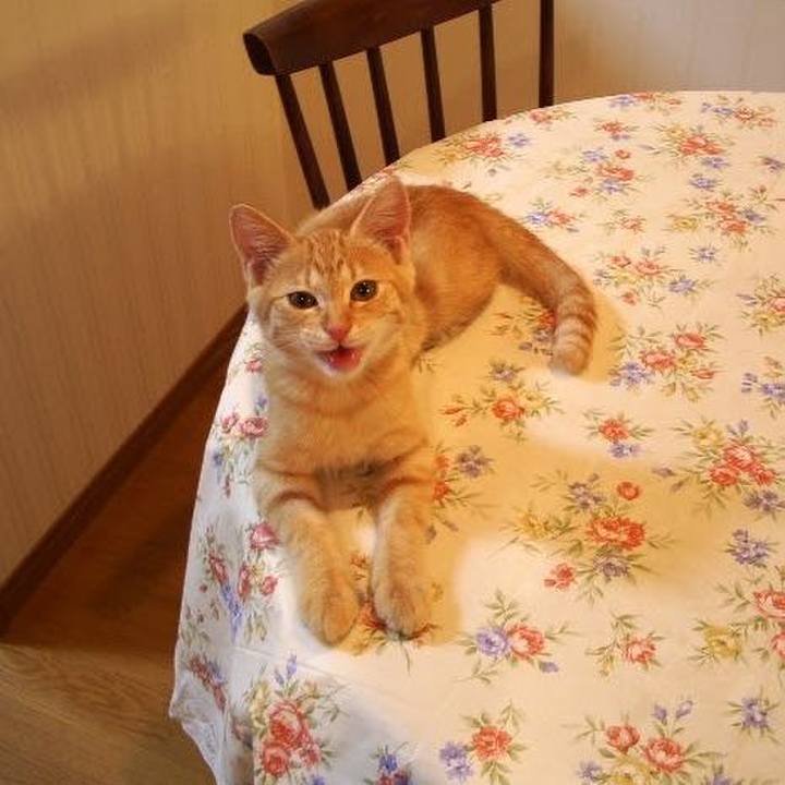 Cd0b585c d140 4d71 93a2 1c5723f80835 1714178198535