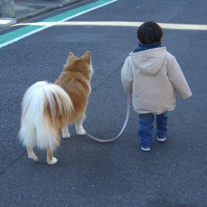 Cd0b5a2b 7f4e 475c b0e9 6cc481081c1e 1614950810187