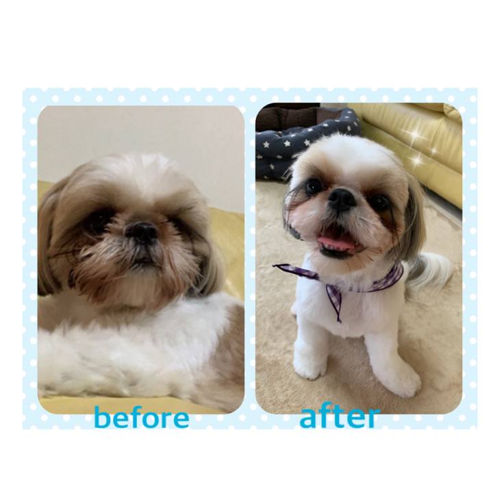 Cd0b78d5 101c 4968 9d60 13ff84dbe2d9 1591482501370