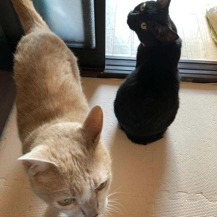 Cd0ba0fa aad3 4074 8442 85becf325d4d 1627337091692