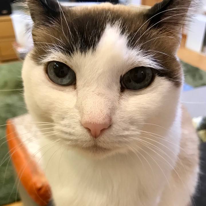 Cd0bd842 29c2 459e 9d1a dd8c16215e3b 1547123300774