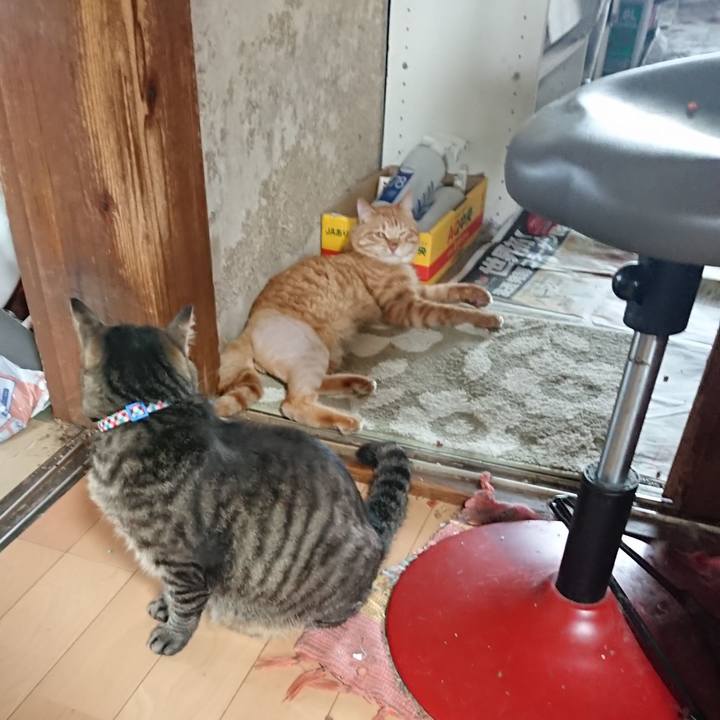 Cd0c0472 f44e 4c37 9d8b 675a6acde651 1655600521756