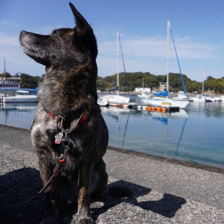 Cd0c14c0 b182 4cf8 a022 beef207a87bc 1520613891054