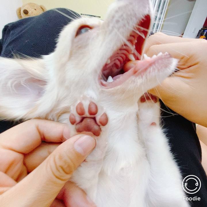 Cd0c1554 7d09 41fc bb8a b2f32e15fb5a 1597723540771