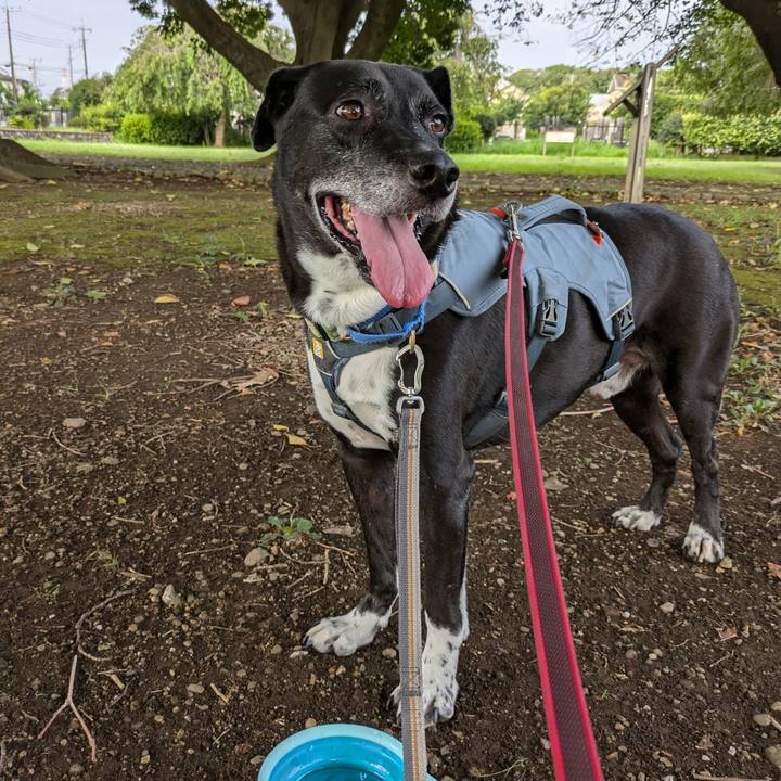 Cd0c18c0 77d0 4eb4 b025 271baece6240 1723938765011