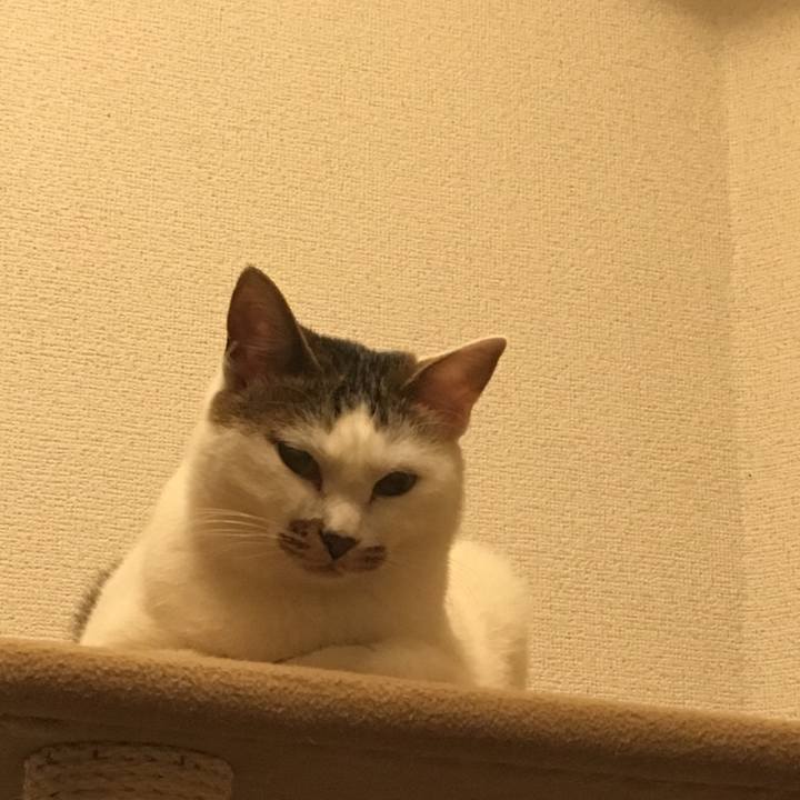 Cd0c266a 6e4b 4e81 969e c54f8608b066 1514477475637