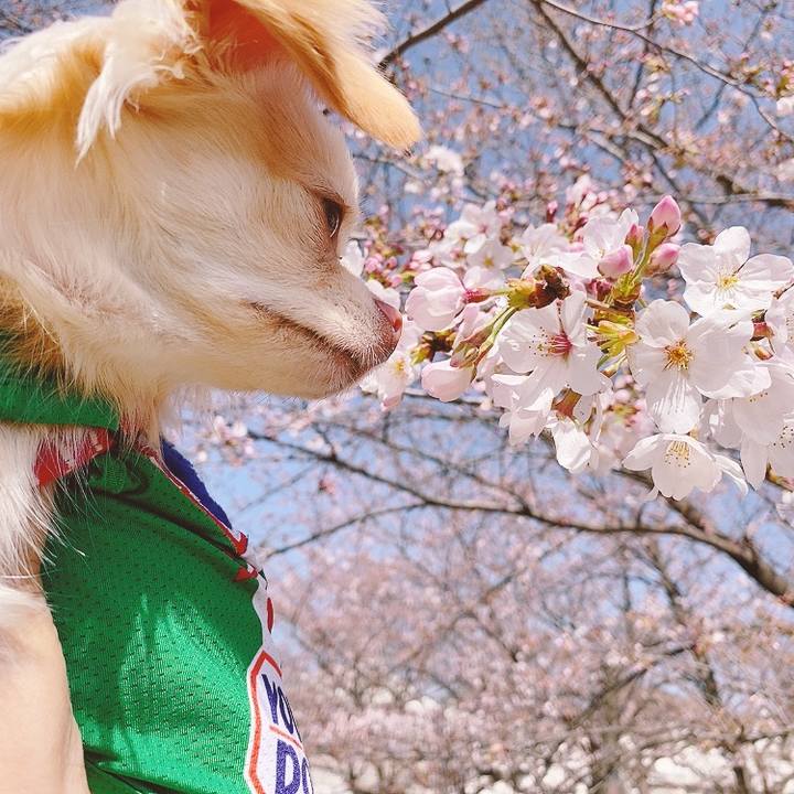 Cd0c2a99 d025 4b3f bf70 3e54ecbb64c7 1616491718102