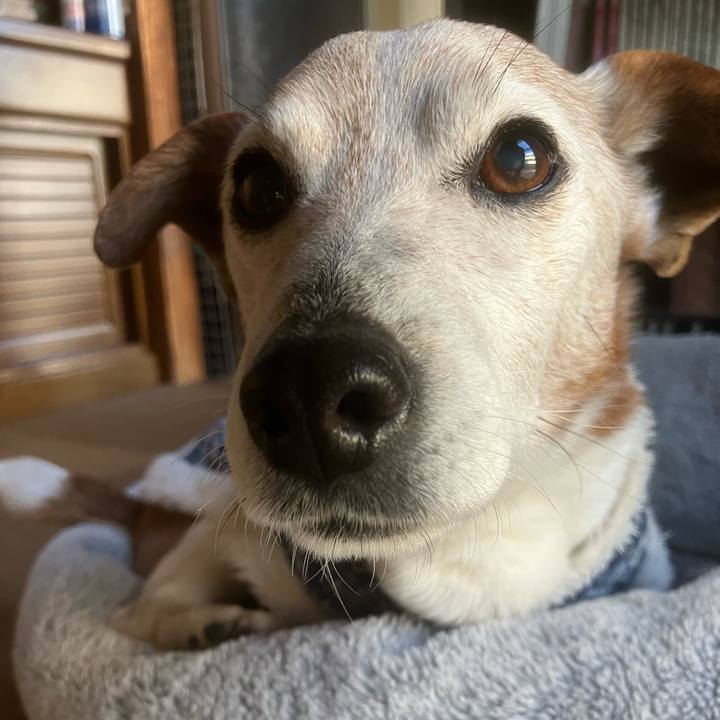 Cd0c3a8e 3429 4b40 9226 27d1f5d275bf 1773705250237