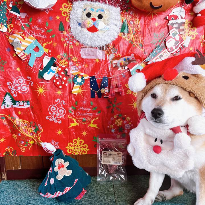 Cd0c5a2a 6fd8 4765 b6a8 f1d16752bc1d 1671944133416