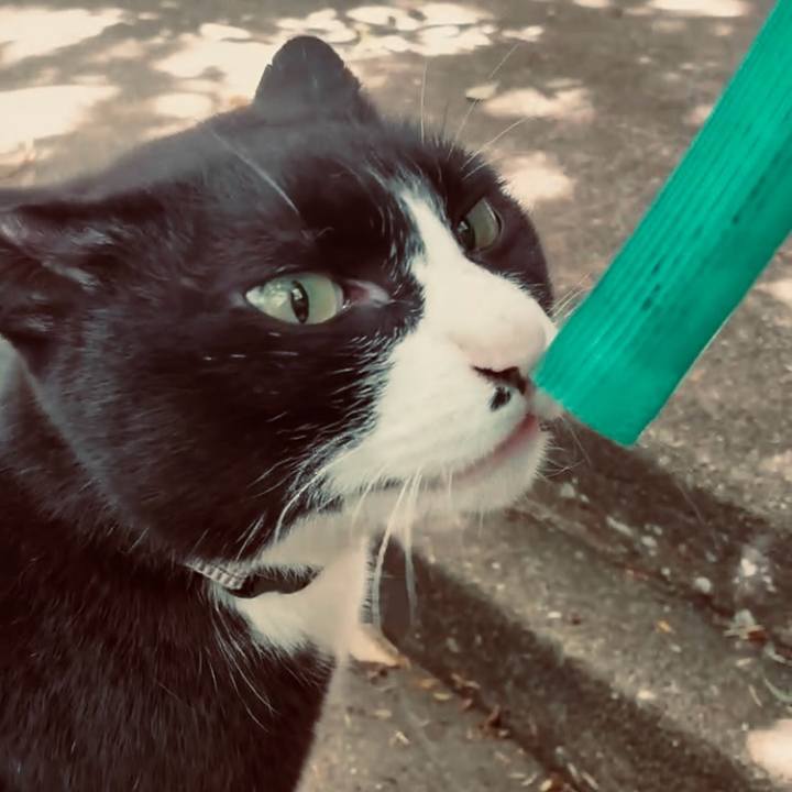 Cd0c6720 0167 4521 8a1e a34d86379226 1745030616423