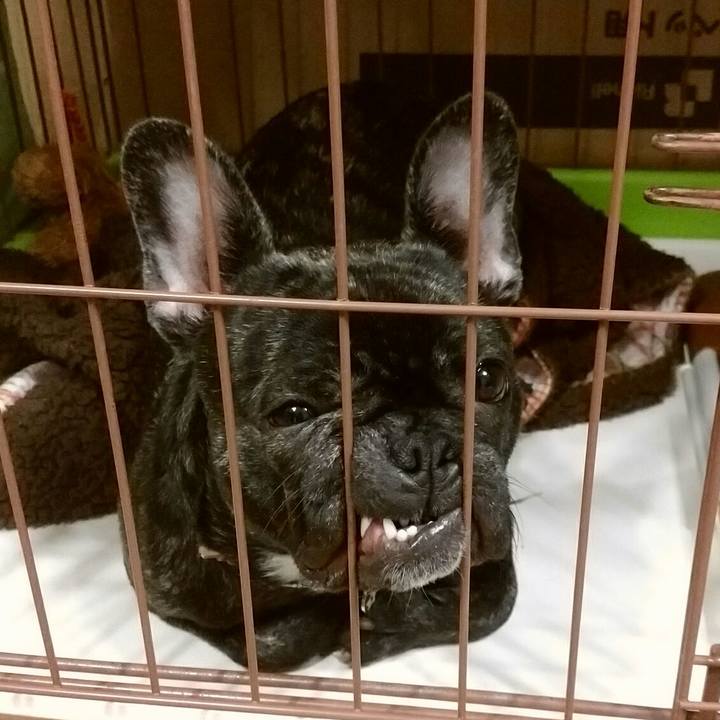 Cd0ce427 de70 4f54 bbea 373e8e591b5c 1511320474688