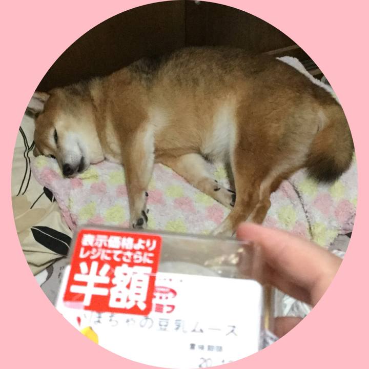 Cd0ce4da 7ba4 484b a4e2 074eb468d8c4 1603439008052