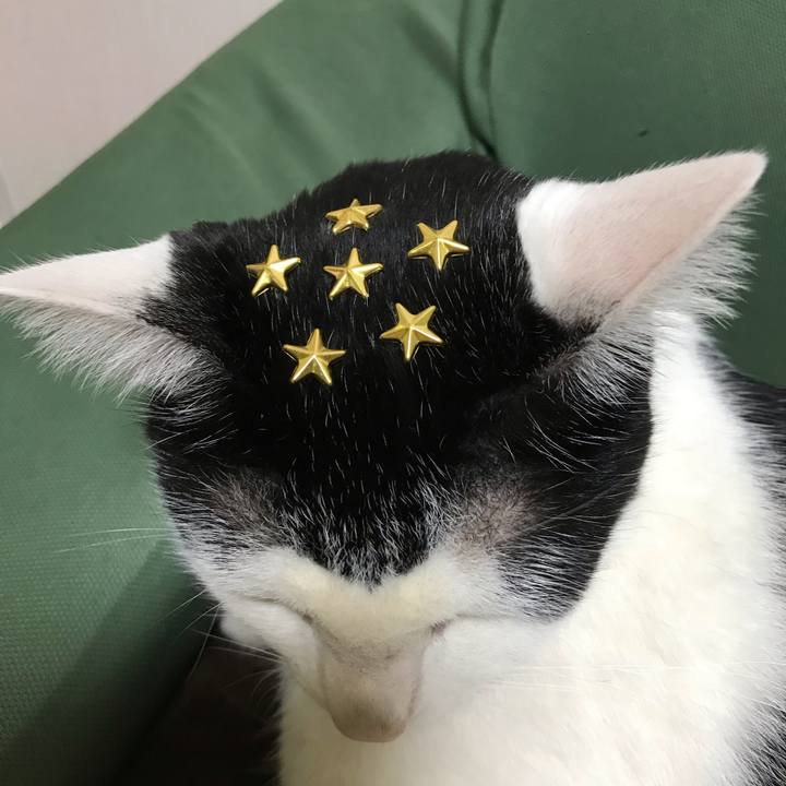 Cd0ced77 672c 4929 8cbe 43034d5db698 1552314183682