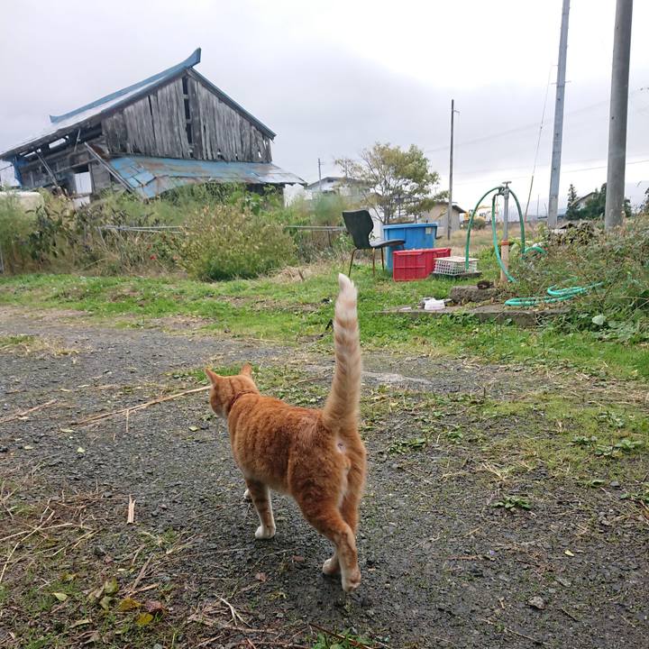 Cd0cf784 cffa 4ab9 813c aafb52eb36f8 1603591597691