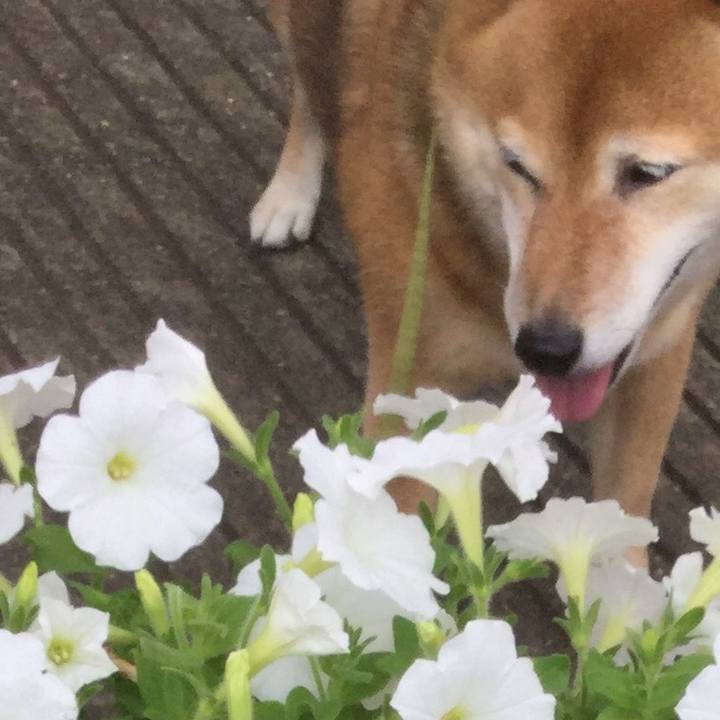 Cd0d4db2 0787 4443 b820 eb48a33617a4 1563954162838