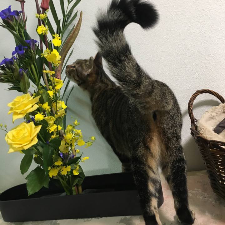 Cd0d7bac 68dd 4e6d a6d1 f7ef412c8b7c 1538803062539