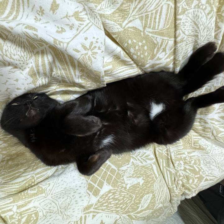 Cd0dba4e ceae 46b6 85c9 00d6b0ee1f62 1714978603167