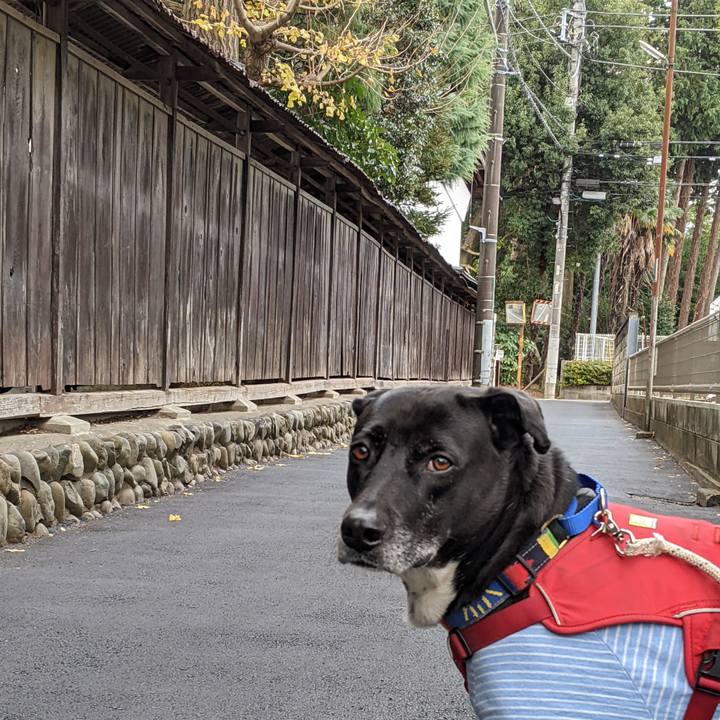 Cd0dce7b 2ce4 4966 b388 b03e710d2a00 1672448578791