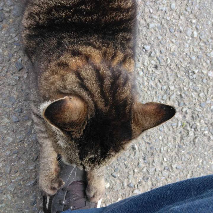 Cd0e2643 53bb 49c4 ba33 35c764bfc806 1712889514526