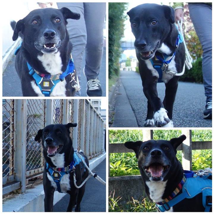 Cd0e3249 b6f8 475b 85d6 9ec87ebb25e5 1636158976720