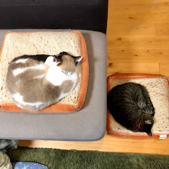 Cd0e34ba 205d 4a5c ad1e 82590f15fad9 1572143384325