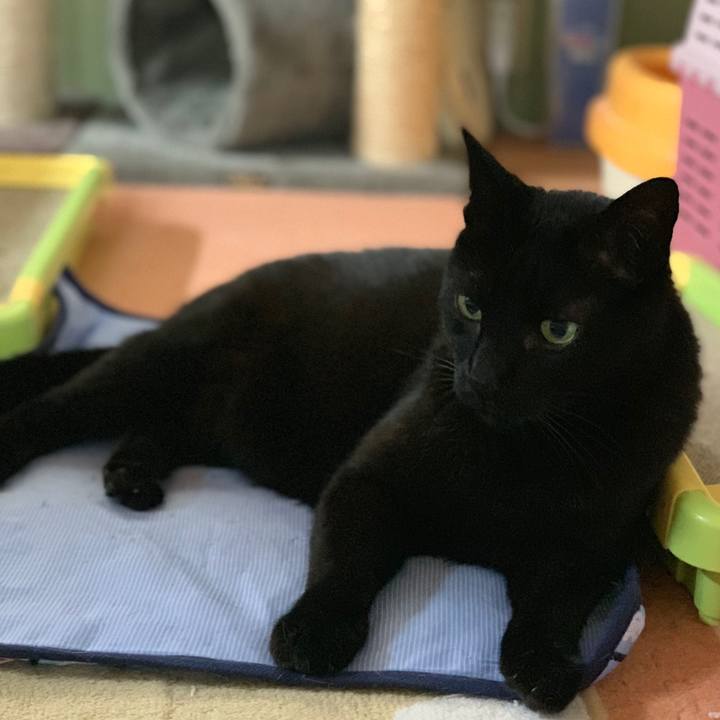 Cd0e69c3 1e4f 4bca 9800 d9935674a624 1559955363588