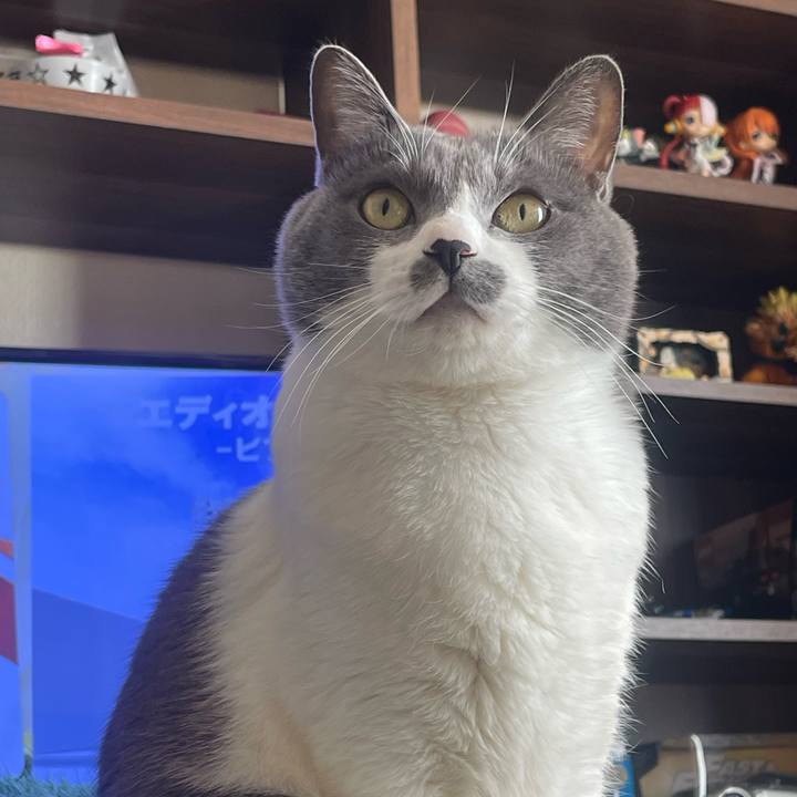 Cd0e77b0 5b56 47cb aa36 0fc39e94efa3 1703220744733