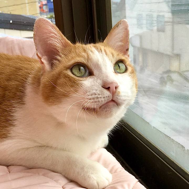 Cd0eaa45 dc3b 48d5 b666 064e1a7511a7 1599376058250