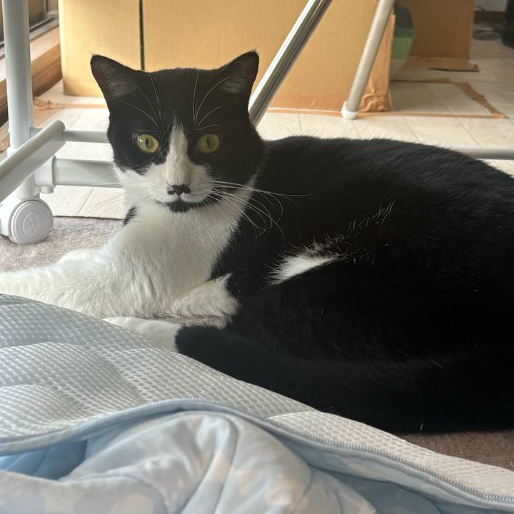 Cd0f0af1 59e2 4152 9237 f789a877def2 1757034040549