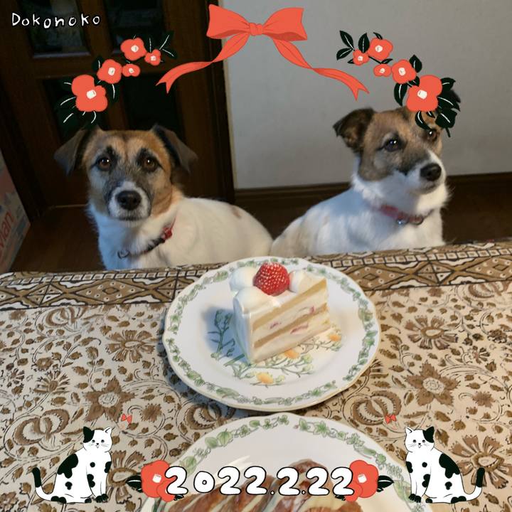 Cd0f358b e083 492e 9c80 31dfcd9981d0 1645501314591