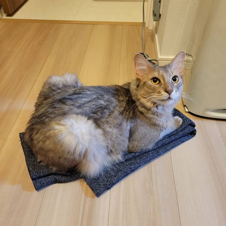 Cd0f371c c5d7 47ff 93e2 ff74ae63f2b2 1628774659915