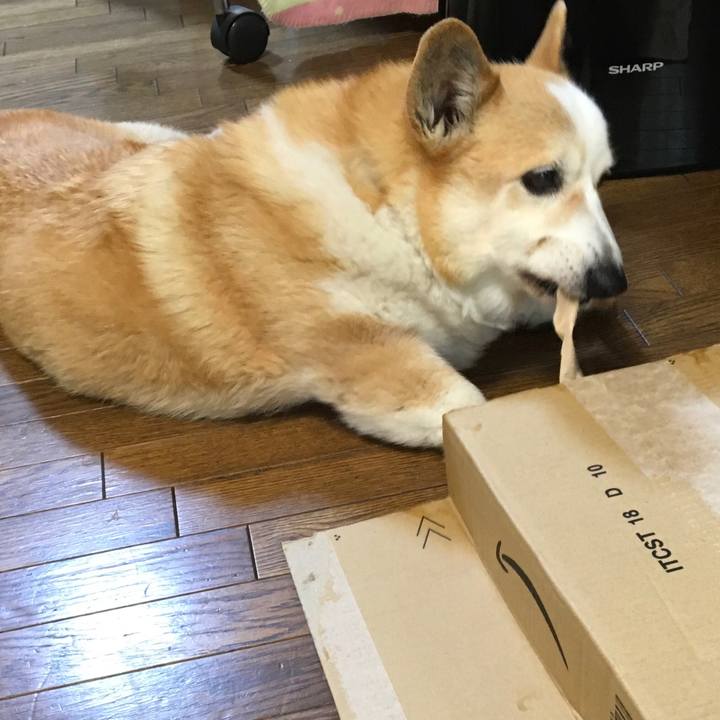 Cd0f3842 396d 42e0 94d5 7e2f34e12408 1652671344081