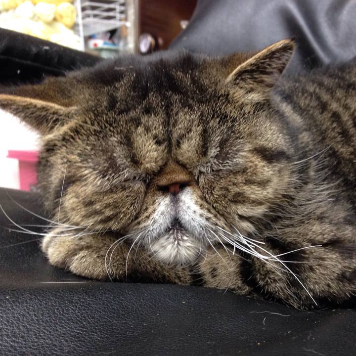 Cd0f397f 75c9 494f adee 82239da846f8 1526684073358