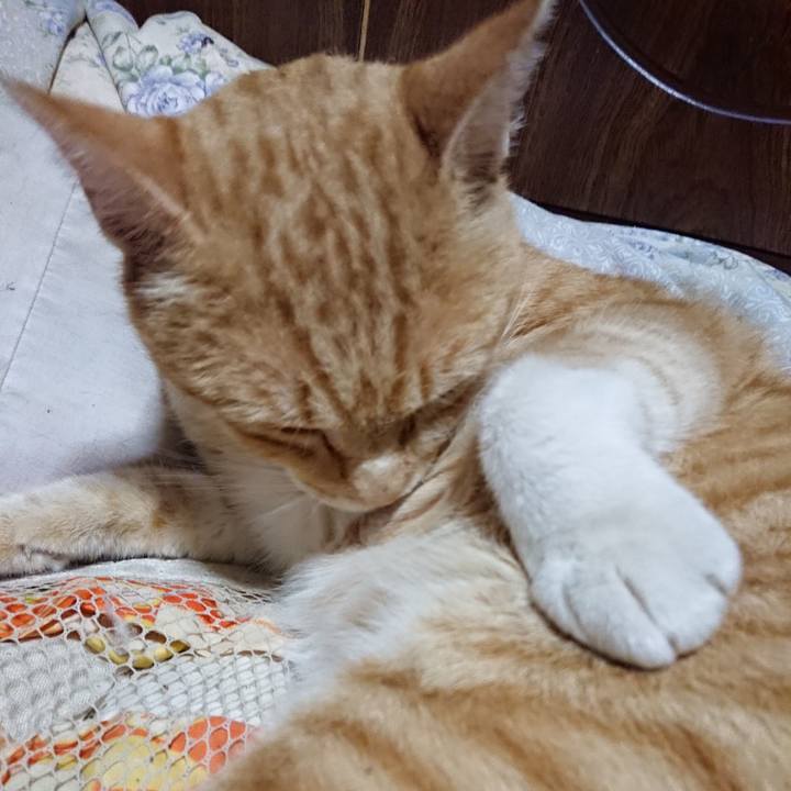 Cd0f5a87 f3df 4c51 acb6 eebf68645f60 1562678172300