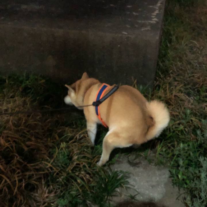 Cd0f67b0 e945 4000 97ec 36b6b9c1bac0 1601033033467