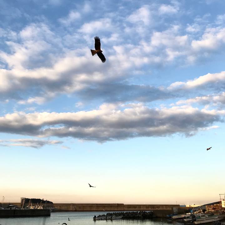 Cd0f93de 99aa 41b9 a897 e319e0ce8e3f 1541164301476