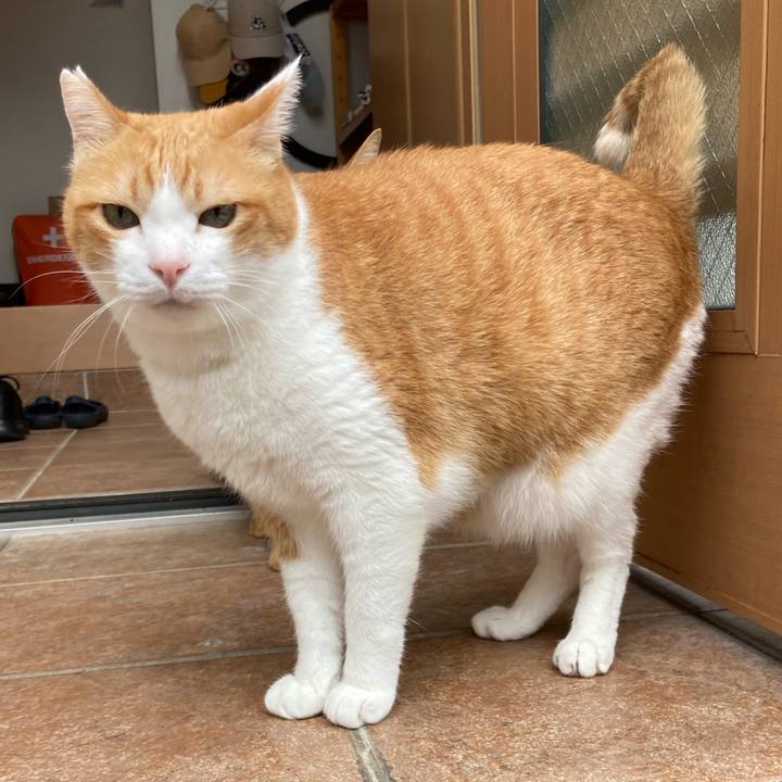 Cd0fa332 2ae2 4888 b565 0c77340deca8 1765087396903