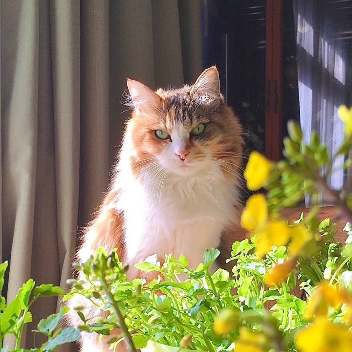 Cd0feffb c07c 4b25 afa4 0b75e2cac7eb 1614238645615