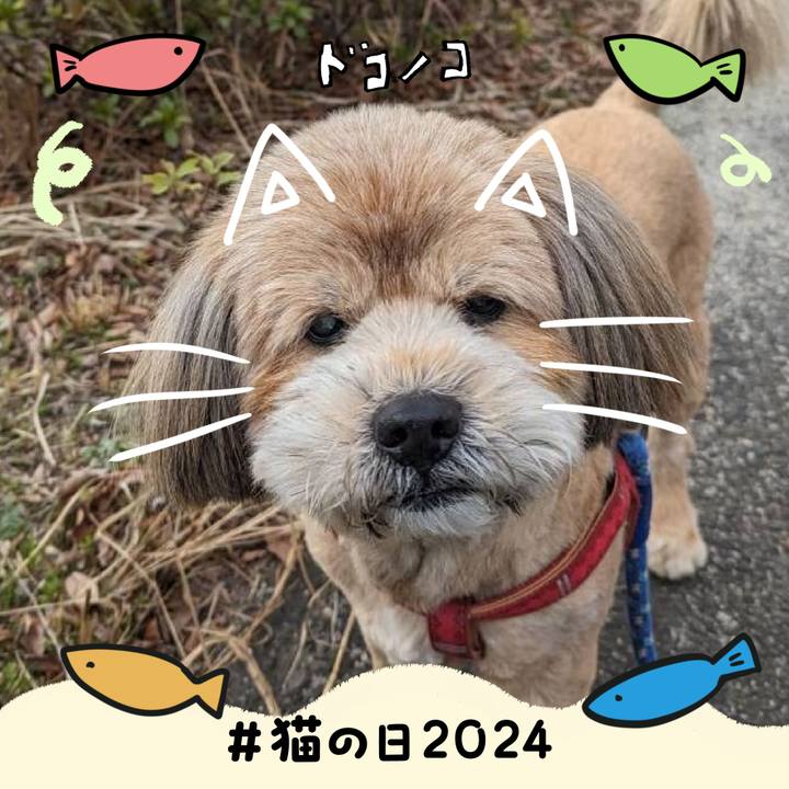 Cd0fff60 445d 47b0 b149 f2b8f47ffefd 1708591993392