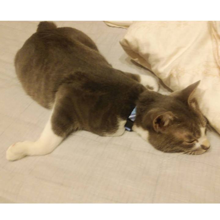 Cd102053 7db5 467c a6e7 89d618a6a0ec 1595166510179