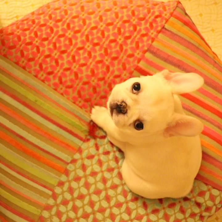 Cd1055c5 7fd9 46f7 81e6 8379f2ca94b4 1649578158462