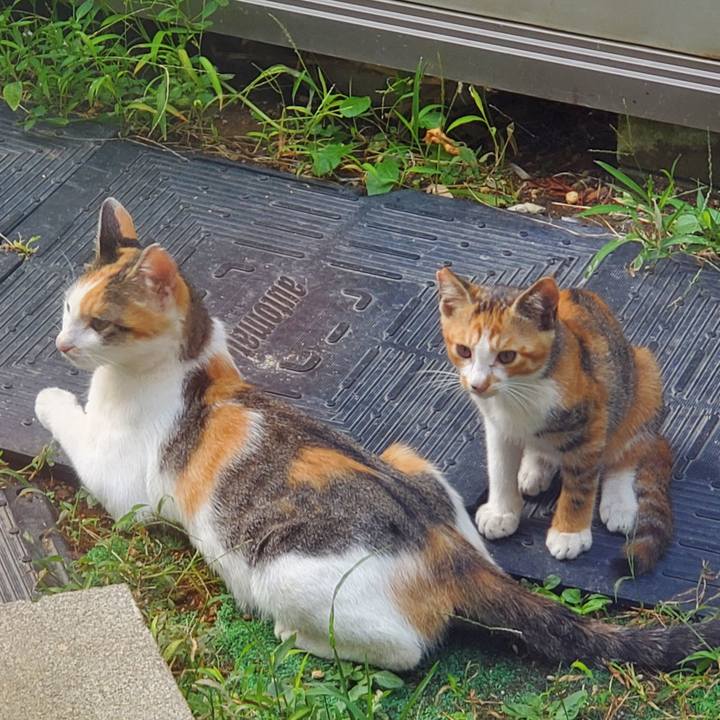 Cd108353 0c3c 433c 9220 4db764481b50 1725909159081