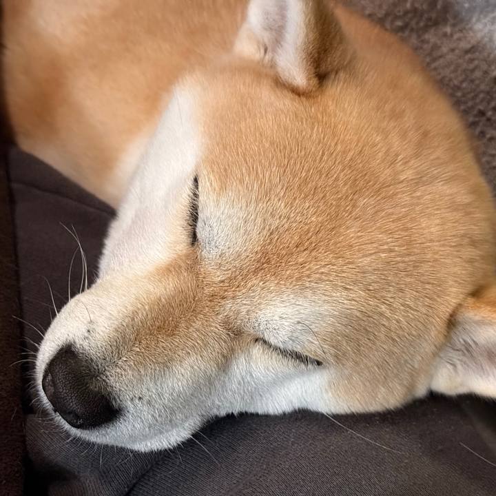 Cd1091f8 21fb 4dcc 9361 ef5077142ca5 1766796769300