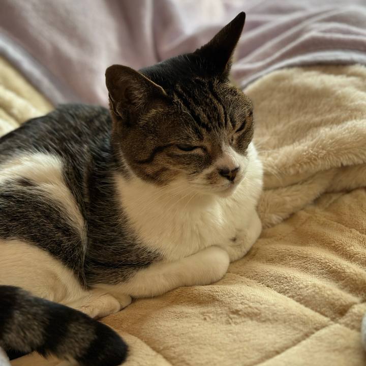 Cd10929b 89be 4d8d ad6e a0b33732c8fc 1678755266596